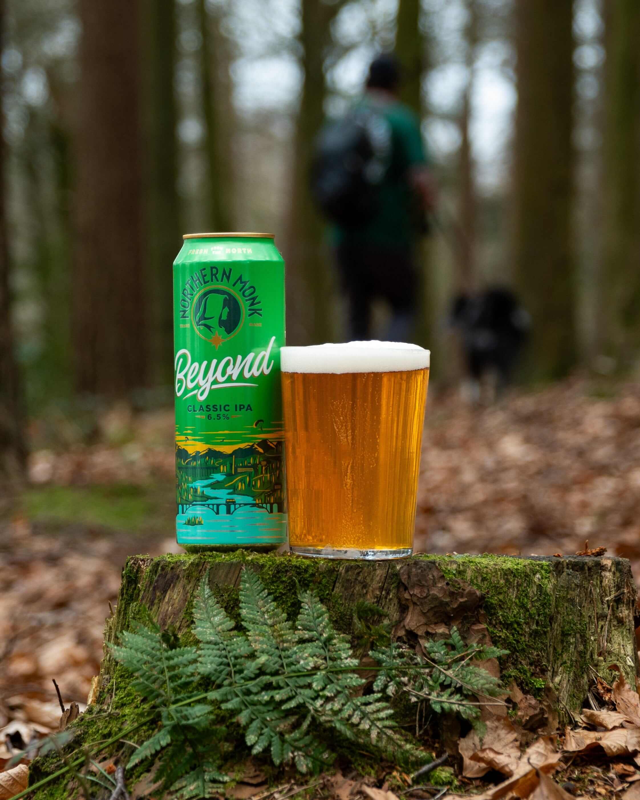 12 PACK // 568ml BEYOND // CLASSIC IPA // 6.5% - Image 3