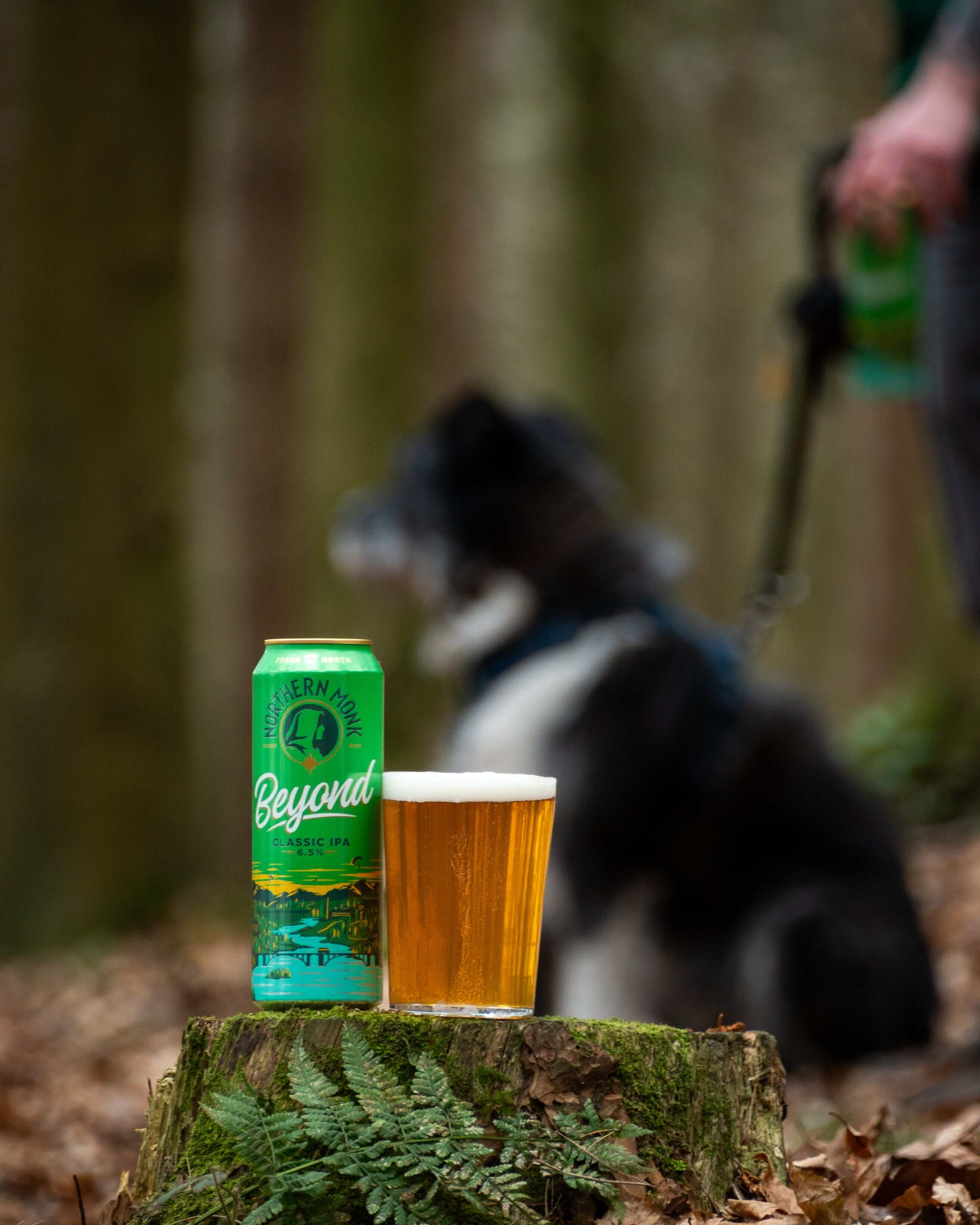 12 PACK // 568ml BEYOND // CLASSIC IPA // 6.5% - Image 4