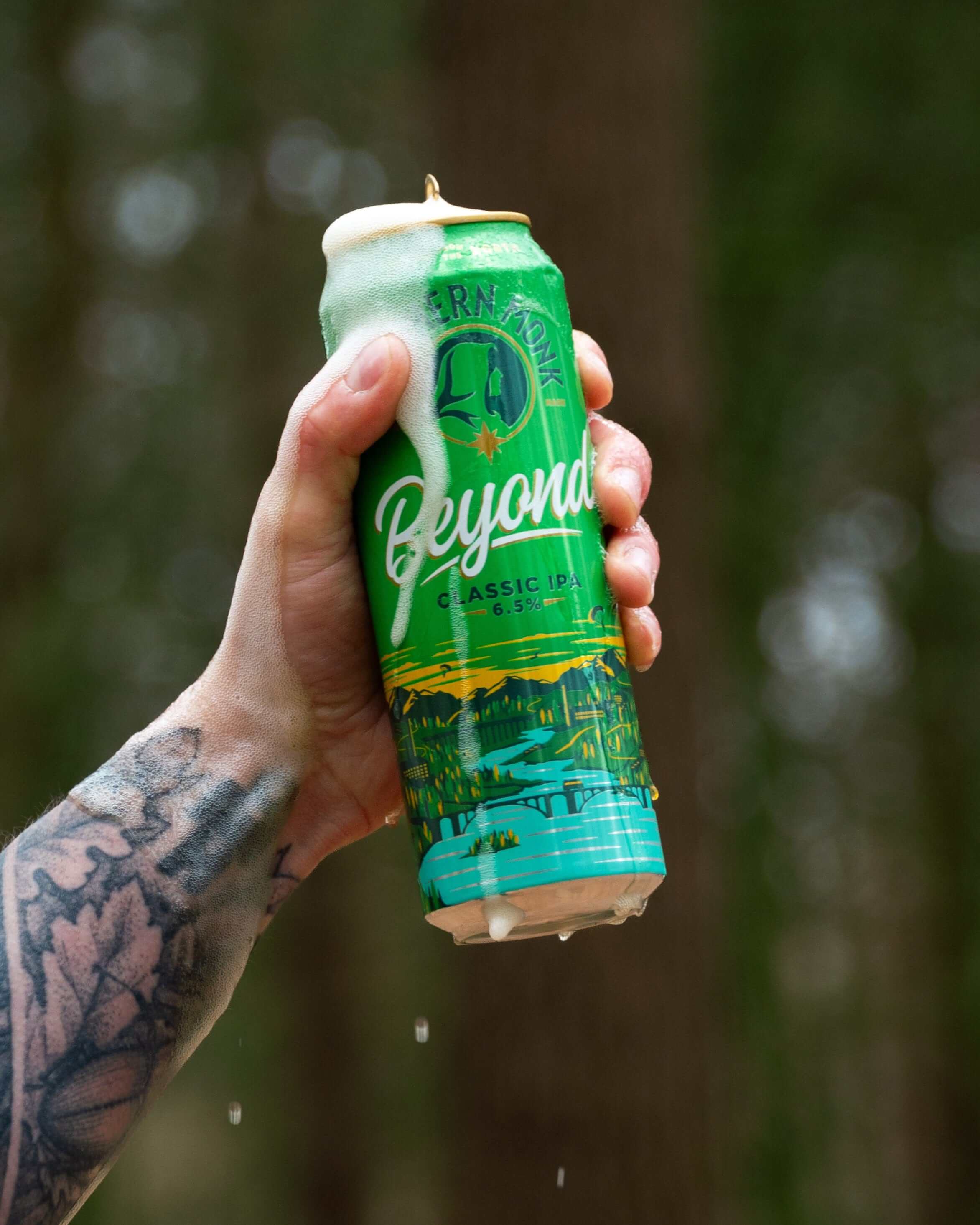 12 PACK // 568ml BEYOND // CLASSIC IPA // 6.5% - Image 5