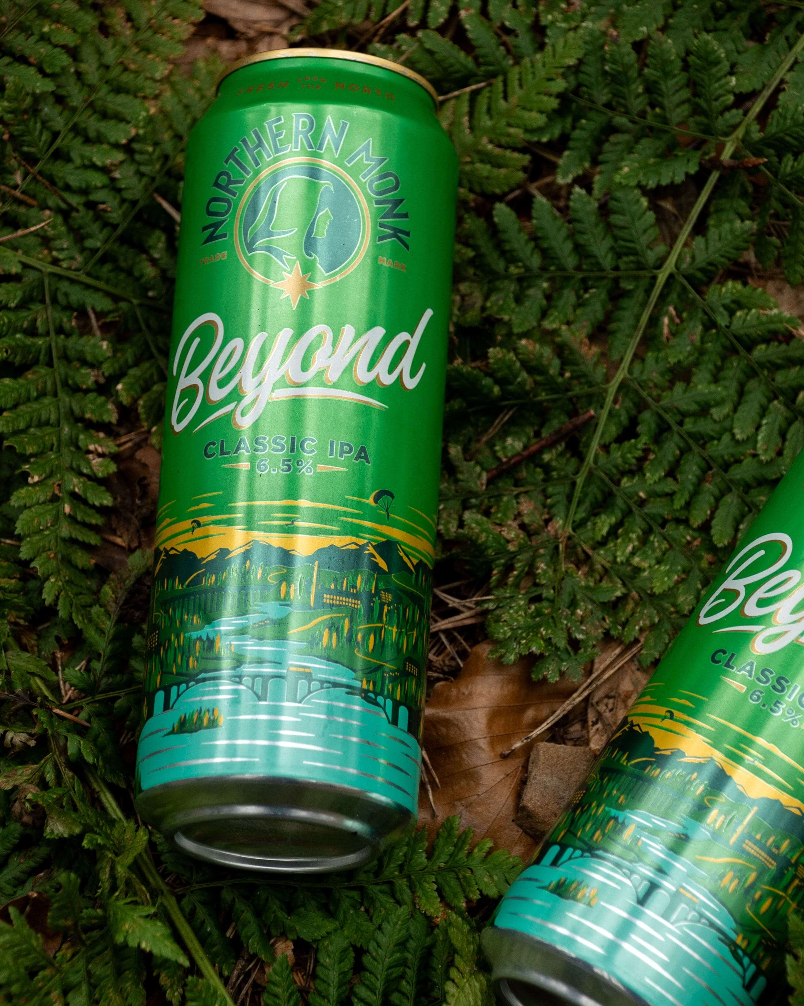 12 PACK // 568ml BEYOND // CLASSIC IPA // 6.5% - Image 7