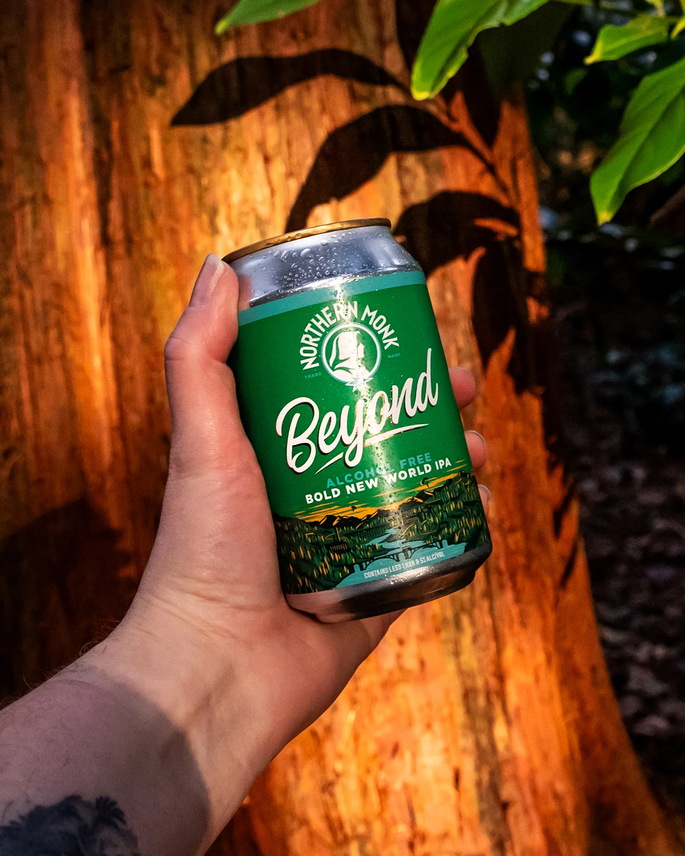 4 PACK // BEYOND ALCOHOL FREE // ALCOHOL-FREE NEW WORLD IPA // 0.3% - Image 5