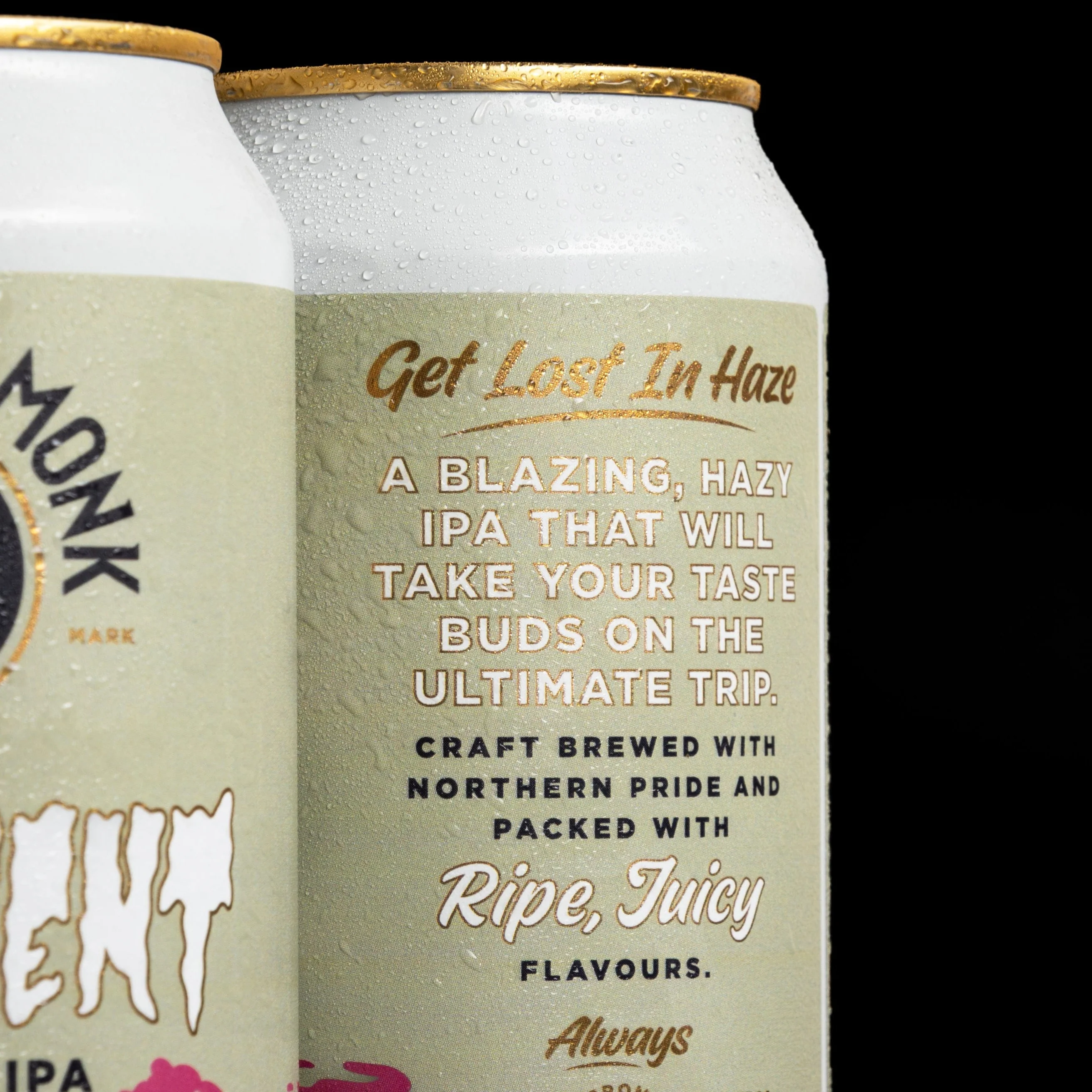 4 PACK // TRANSIENT // HAZY DDH IPA // 7.0% - Image 3