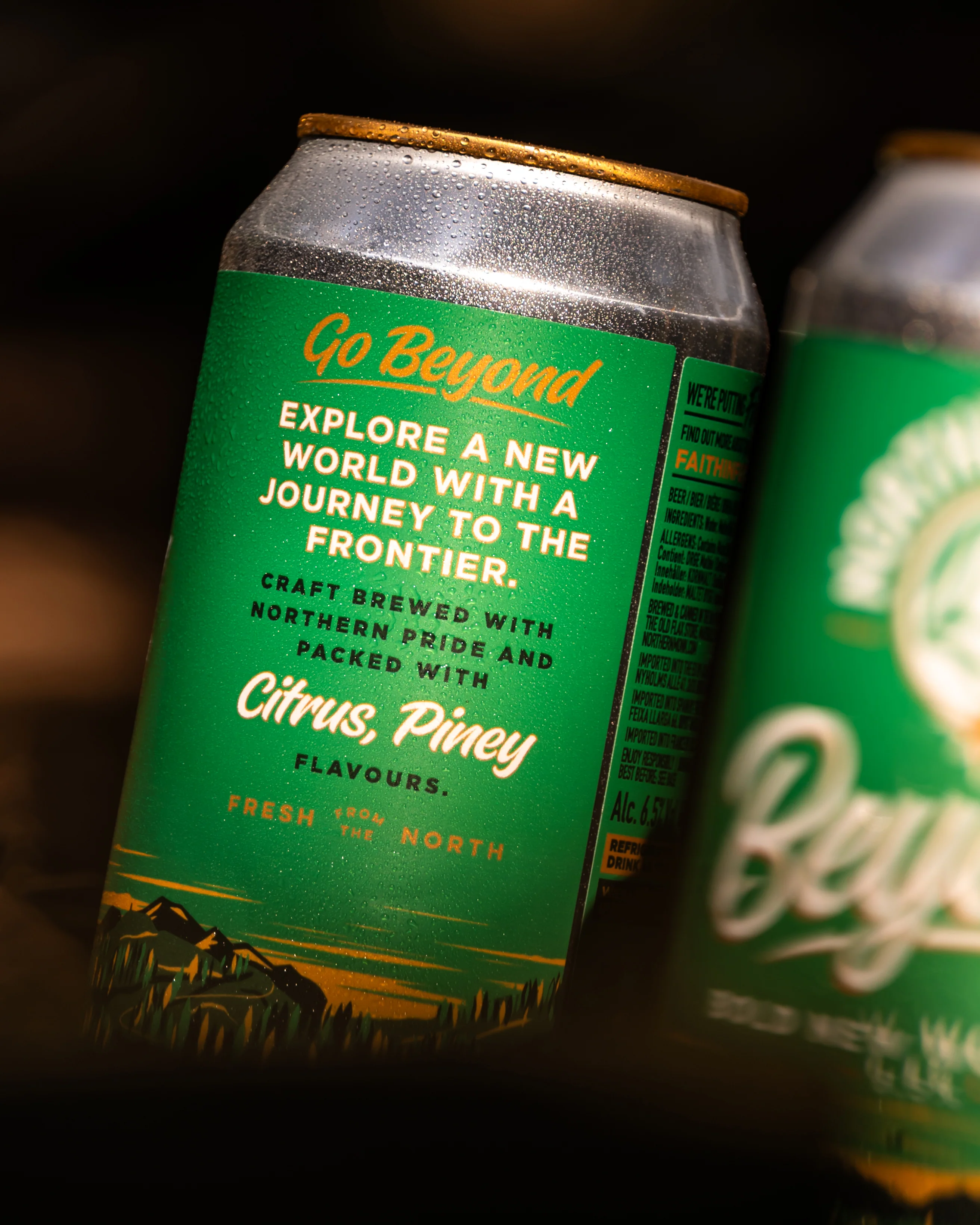 440ml BEYOND // BOLD NEW WORLD IPA // 6.5% - Image 4