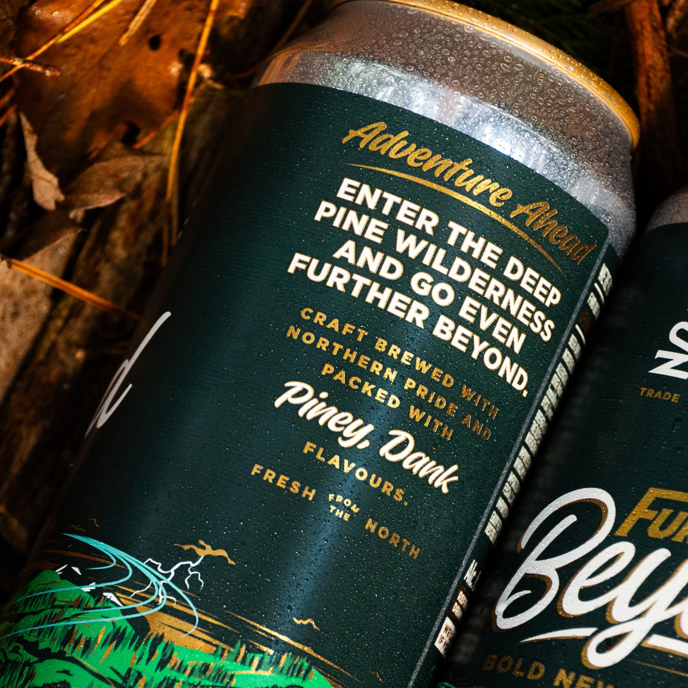 FURTHER BEYOND // BOLD NEW WORLD DIPA // 440ML // 8.4% - Image 5