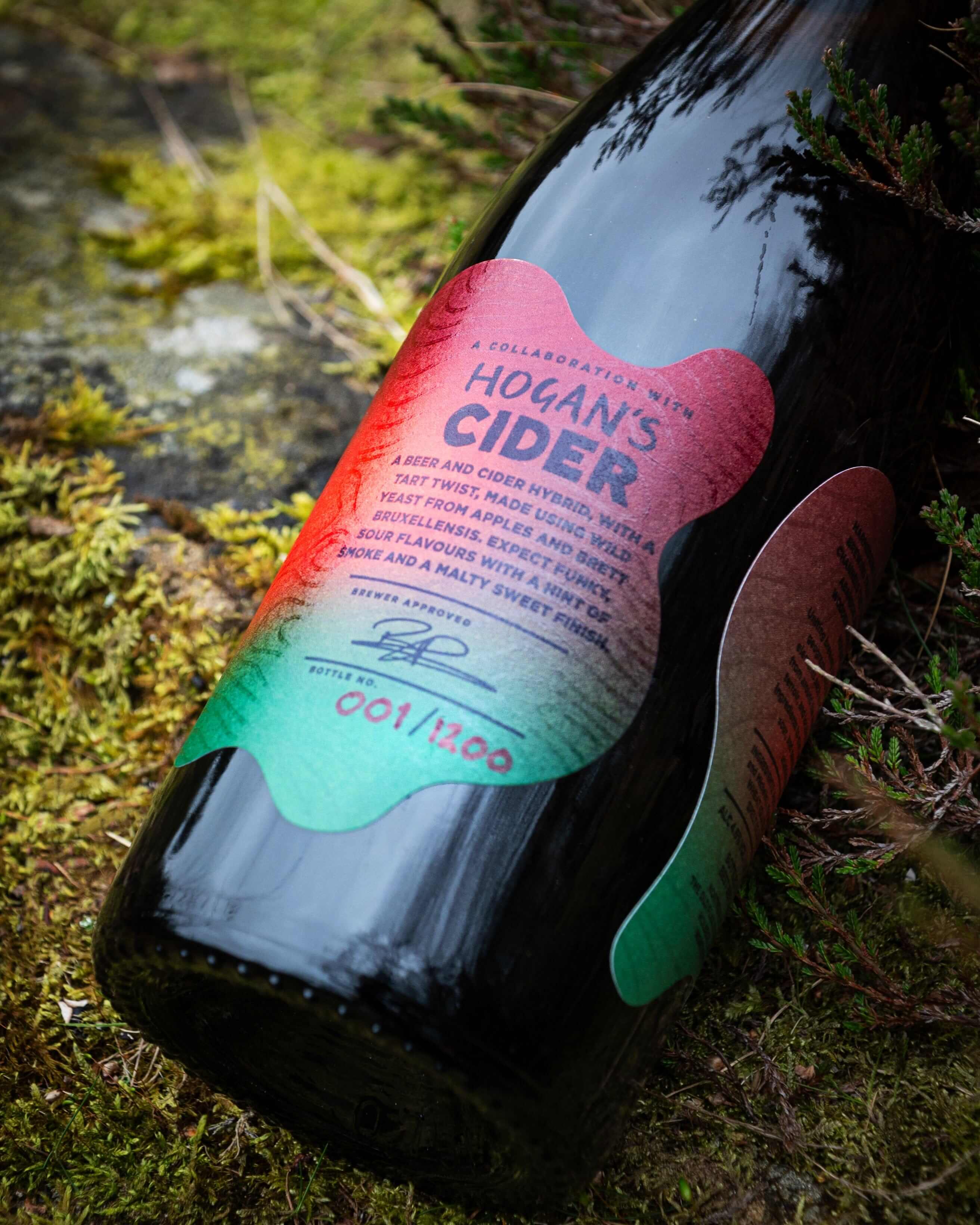 NORTHERN WILD 006 // HOGANS CIDER // 4.6% - Image 3