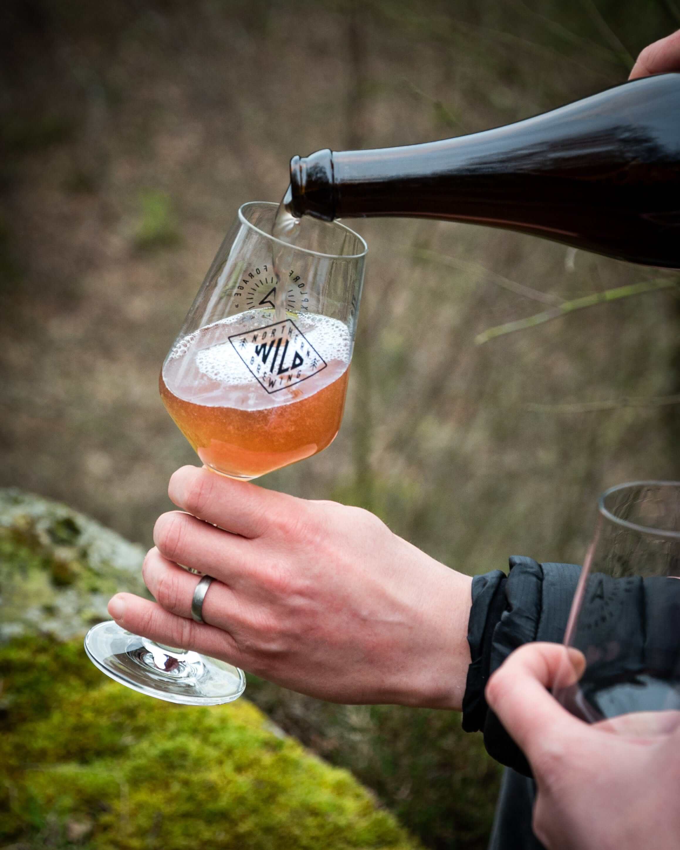 NORTHERN WILD 006 // HOGANS CIDER // 4.6% - Image 7