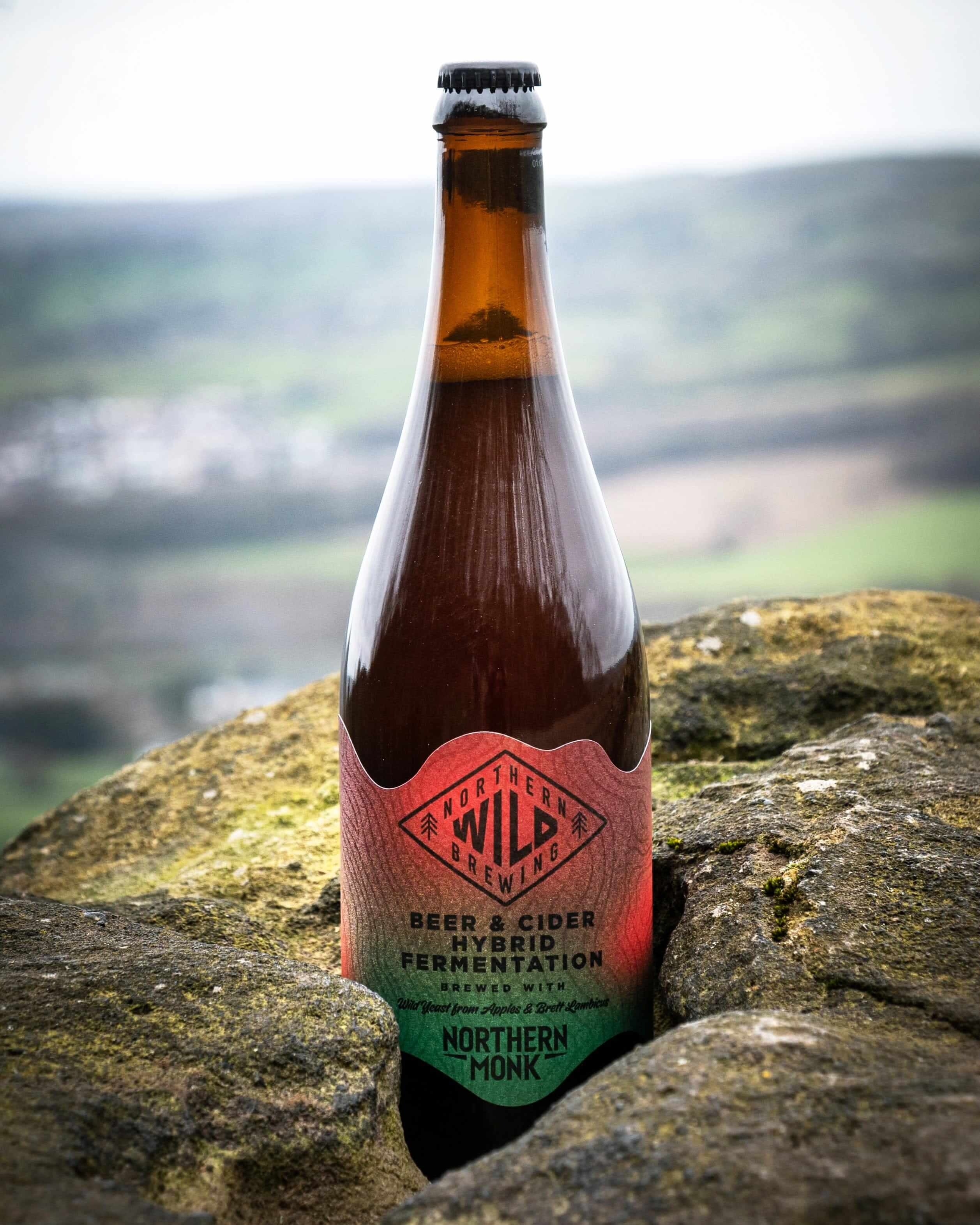 NORTHERN WILD 006 // HOGANS CIDER // 4.6% - Image 9