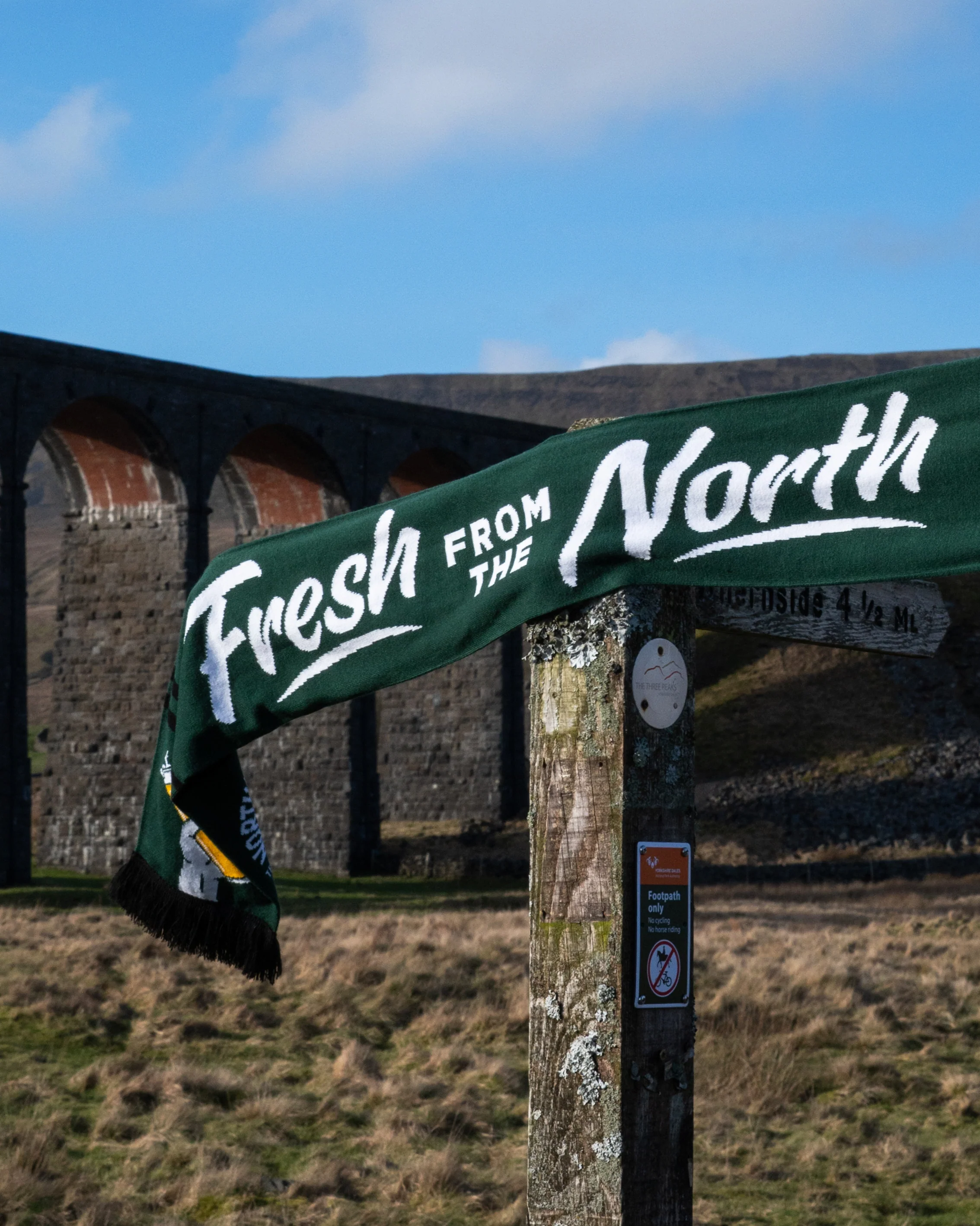 SCARF // FRESH FROM THE NORTH - Image 5